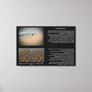 ザヒトデ物語のキャンバス キャンバスプリント