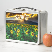 ザヒマワリ弁当箱 メタルランチボックス (インサイチュ)