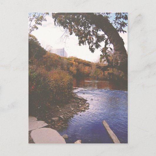 ザヒューロン川 ポストカード (正面)