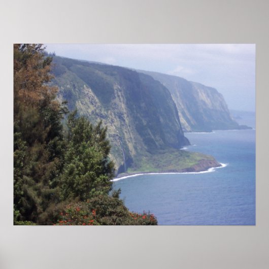 ザビッグアイランド – ハワイ ポスター (正面)