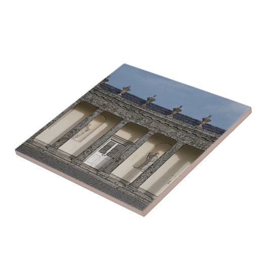 ザビッグハウス タイル (側面)