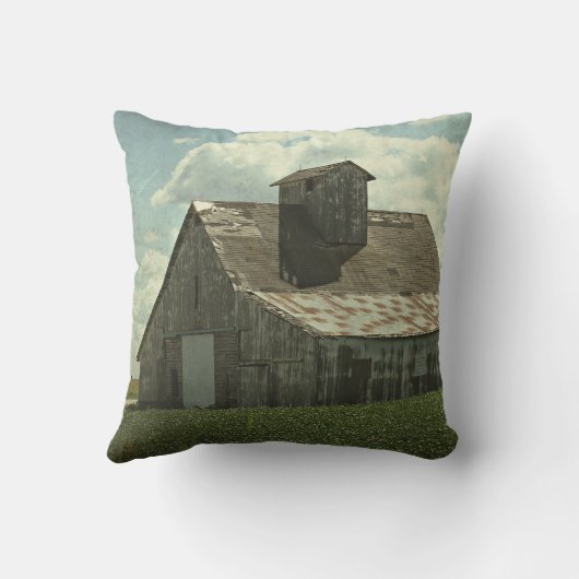 ザビッグホワイトバーン クッション (裏面)