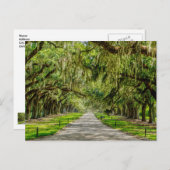 ザビューティフルアベニューオークスはがき ポストカード (正面/裏面)