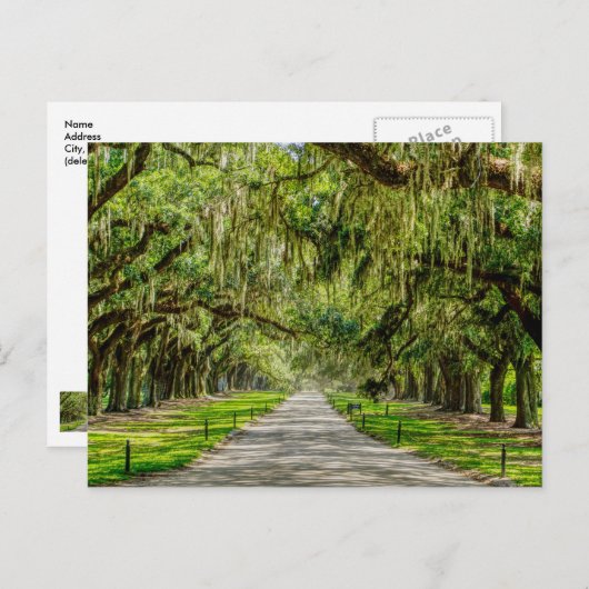 ザビューティフルアベニューオークスはがき ポストカード (正面/裏面)