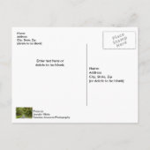 ザビューティフルアベニューオークスはがき ポストカード (裏面)