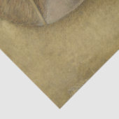 ザビューティフルプリンセス(レオナルド・ダ・ヴィンチ) 薄葉紙 (詳細)