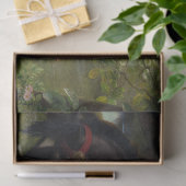 ザビューティフルレディースウィザ慈悲のないフランクディクシー 薄葉紙 (ギフト)