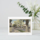 ザビレッジ通りパームキャニオンドライブ ポストカード (スタンド正面)