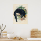 ザビンチュロンbyジョセフ・ウルフ ポスター (キッチン)