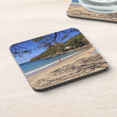 ザビーチアットピジョンアイランド国立公園 コースター (左側)