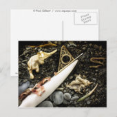 ザビーチ ポストカード (正面/裏面)