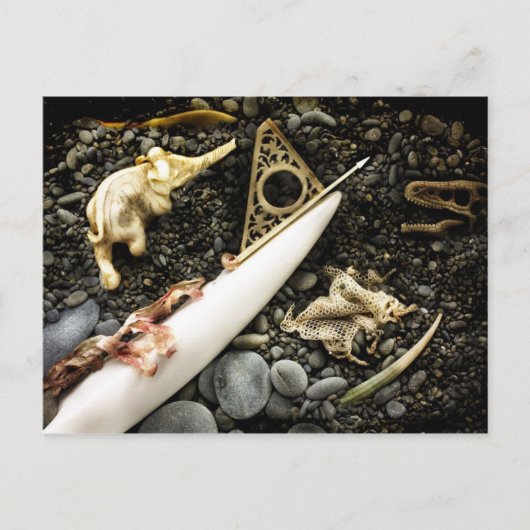 ザビーチ ポストカード (正面)