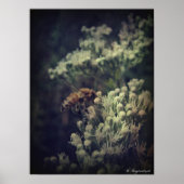 ザビー ポスター (正面)