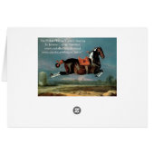 ザピエボルドの馬"セヒーロ'の飼育 (裏面横)