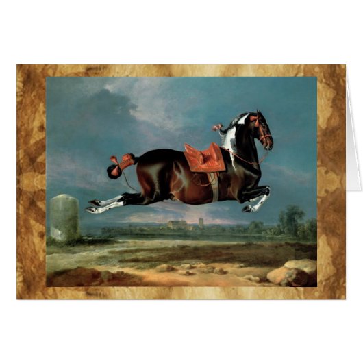 ザピエボルドの馬"セヒーロ'の飼育 (正面横)