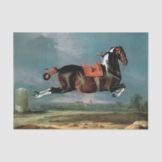 ザピエボルドの馬"セヒーロ'の飼育 薄葉紙 (正面)