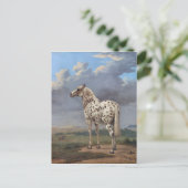 ザピエボルドの馬 ポストカード (スタンド正面)