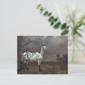 ザピエボルドの馬， 1653 ポストカード (スタンド正面)