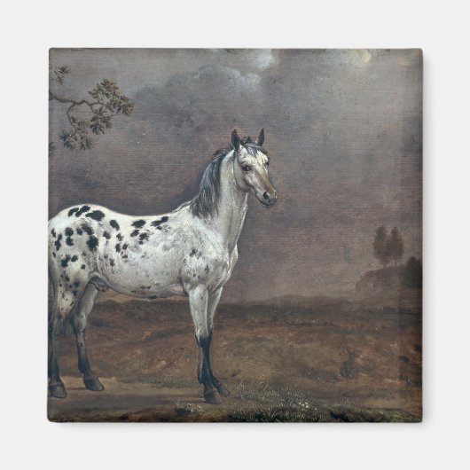 ザピエボルドの馬, 1653 マグネット (正面)