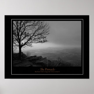 ザピナクルのポスター ポスター