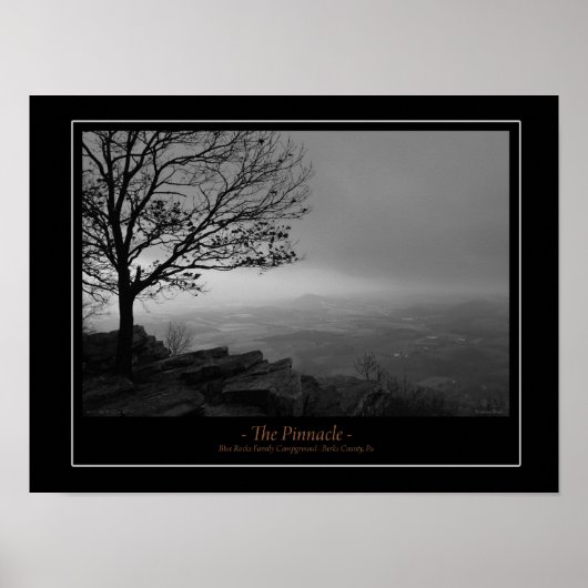 ザピナクルのポスター ポスター (正面)