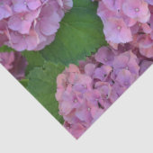 ザピンクのホテンシア紫陽花の茂み 薄葉紙 (詳細)