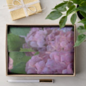 ザピンクのホテンシア紫陽花の茂み 薄葉紙 (ギフト)