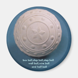 ザピンプルボール マグネット