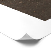 ザピーコック ポスター (角)