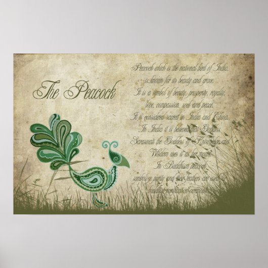 ザピーコック ポスター (正面)