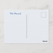 ザピーコック ポストカード (裏面)