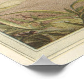 ザフィールドクリケット – 昆虫本イラストレーション ポスター (角)