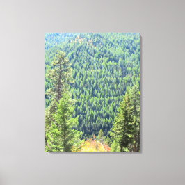 ザフォレストキャンバスプリント キャンバスプリント