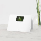 ザフォレストプリンス カード (裏面)