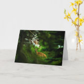 ザフォレストプリンス カード (黄色い花)