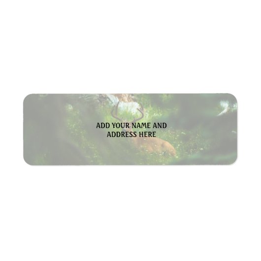 ザフォレストプリンス ラベル (正面)
