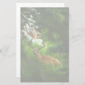 ザフォレストプリンス 便箋 (正面/裏面)