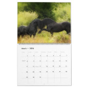 ザフォレストボイズ – フリーダムファイターズ カレンダー (3月 2026)