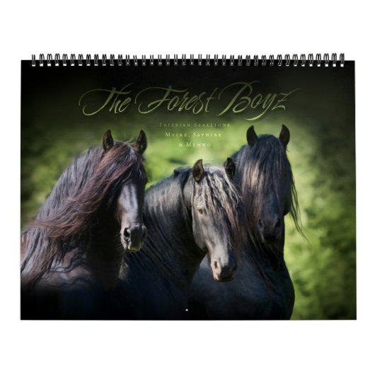 ザフォレストボイズ – リビングザ・ドリーム カレンダー (カバー)