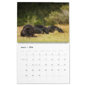 ザフォレストボイズ – 心のこもったカレンダー カレンダー (3月 2026)