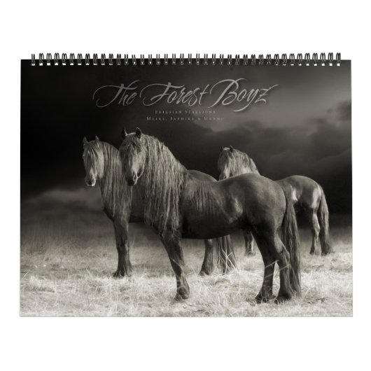 ザフォレストボイズ – 心のこもったカレンダー カレンダー (カバー)