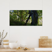 ザフォレスト ポスター (キッチン)