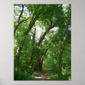 ザフォレスト ポスター (正面)