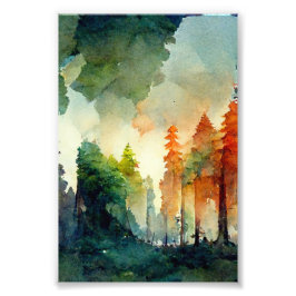 ザフォレスト(自然) フォトプリント           