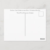 ザフォーラムローマ ポストカード (裏面)