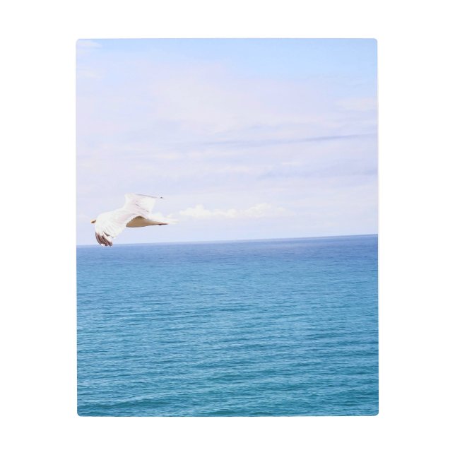 ザフライバイメタルプリント メタルプリント (正面)