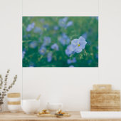 ザフラックスフェアリー ポスター (キッチン)