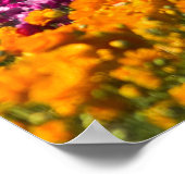 ザフラワーピッカー ポスター (角)