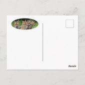 ザフリーシンカーキツネ ポストカード (裏面)