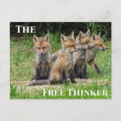 ザフリーシンカーキツネ ポストカード (正面)